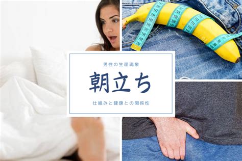 朝立ちしない 40代|朝立ちしない原因と改善方法。今すぐ試せる男として。